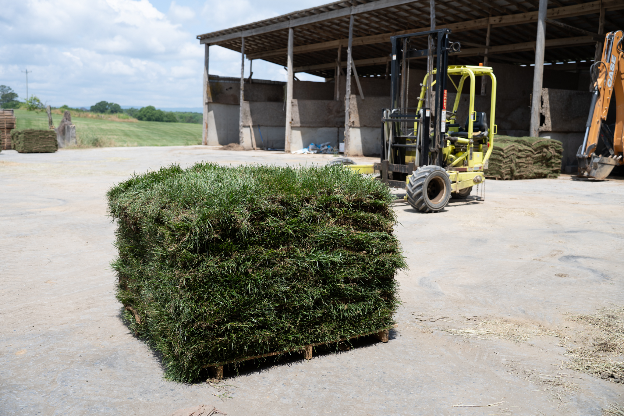 Pallet of fresh sod used for estimating lawn coverage with a sod calculator in Chattanooga and Ringgold.