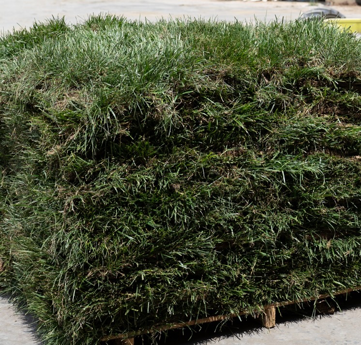 Stacked pallet of fescue sod ready for delivery in Chattanooga and Ringgold.