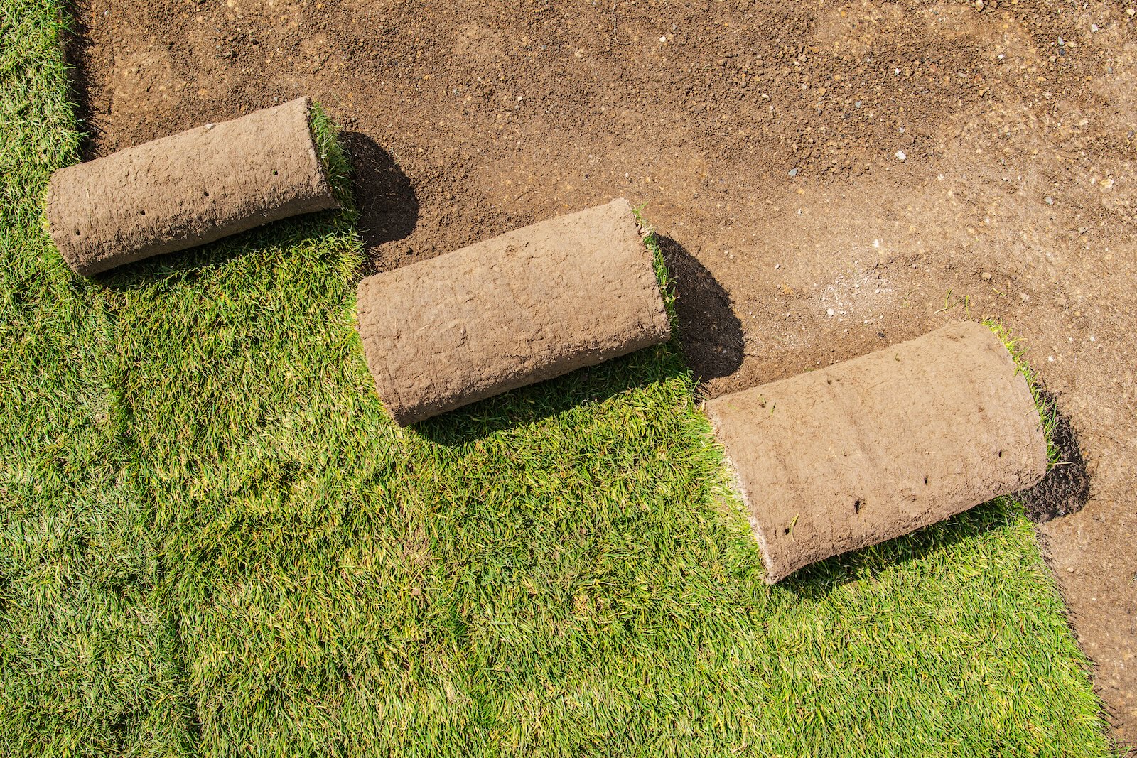 A few types of sod grass being installed